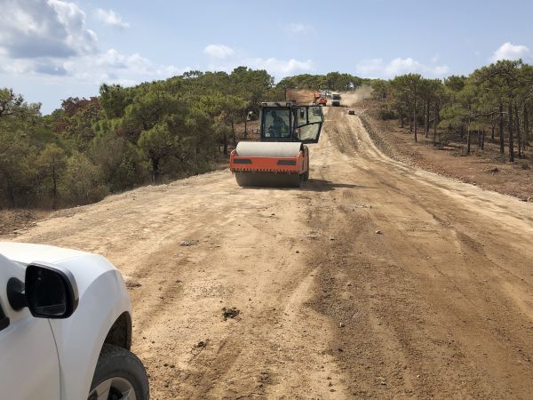 Cost of Driveway Grading in Clearfield