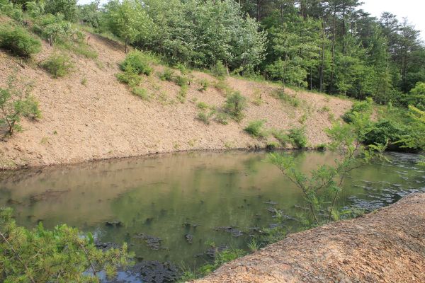 Cost of Pond Erosion Repair in Clearfield