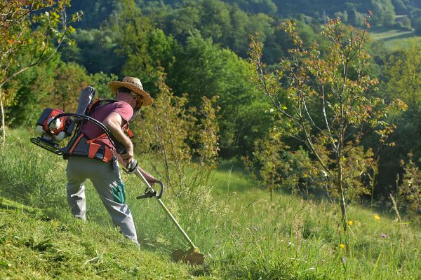 Cost of Slope Trimming in Clearfield