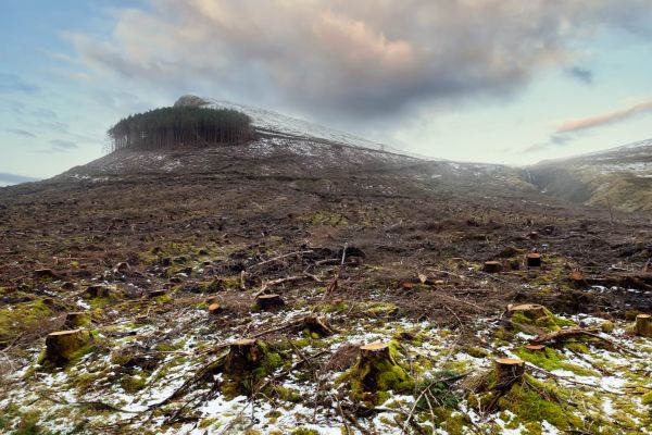Cost of Hill Removal in Clearfield
